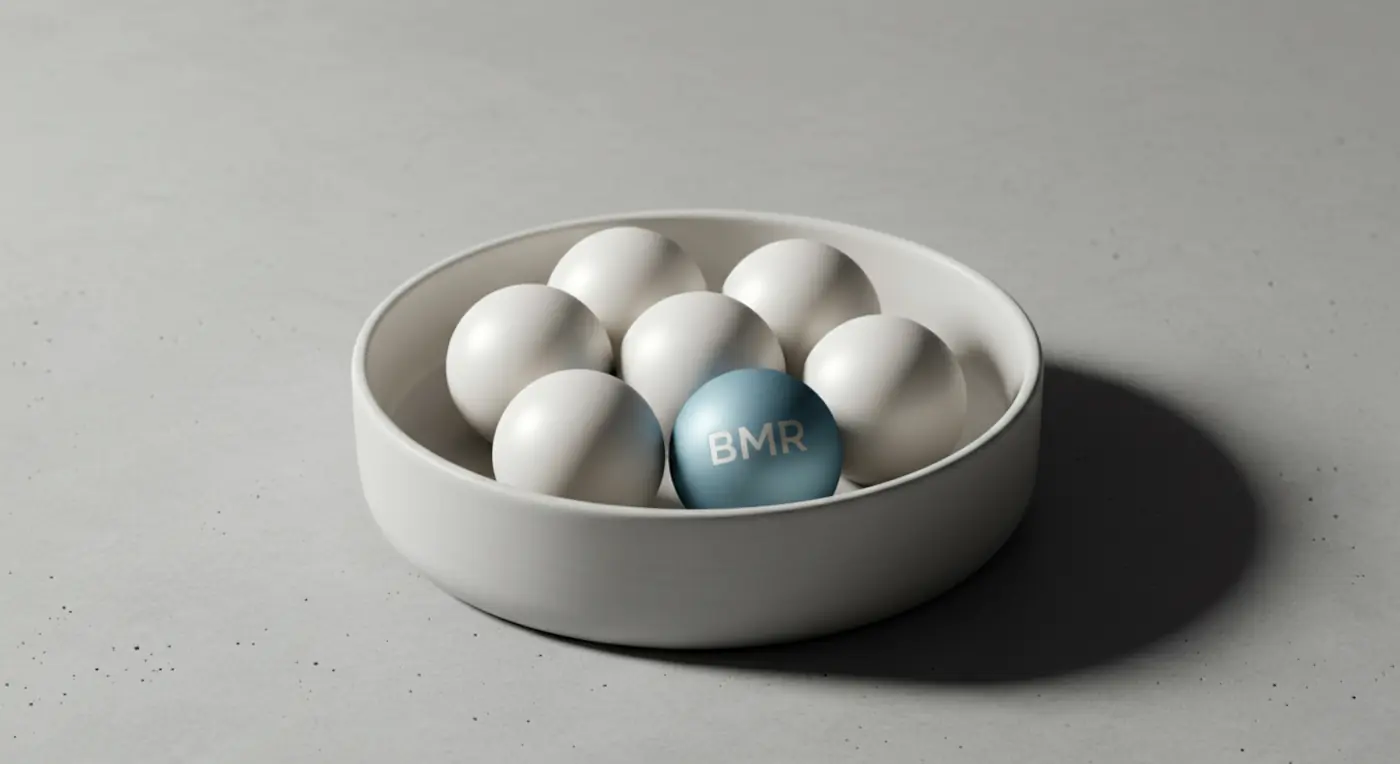 Understanding BMR: The Engine Behind Your Metabolism